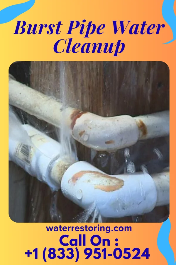 Burst Pipe Water Cleanup in Loves Park, IL