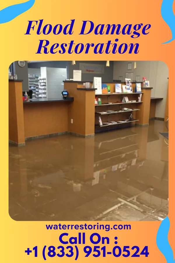 Flood Damage Restoration in Loves Park, IL