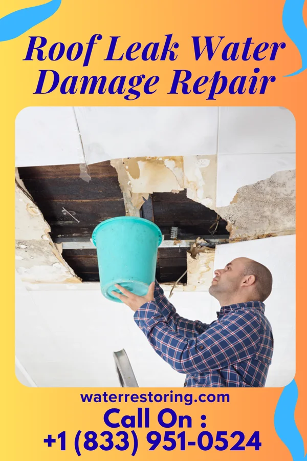 Roof Leak Water Damage Repair in Loves Park, IL
